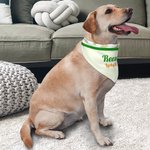 Spersonalizowana bandana z imieniem i tekstem z okazji Dnia Świętego Patryka dla psów, kotów i właścicieli zwierząt domowych