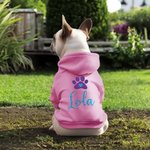Personalizzato Glitter Paw Print morbido caldo cane gatto vestiti con cappuccio con nome regalo di compleanno per l'amante dell'animale domestico proprietario