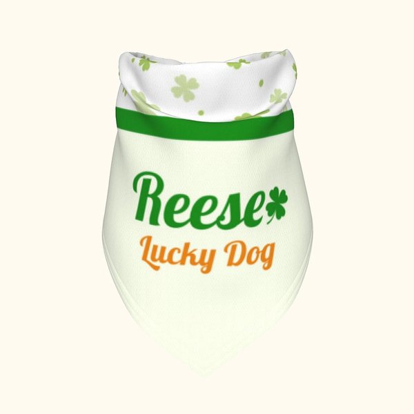 Personalized St Patrick's Day Four Leaf Clover Pet Bandana with Name and Text Gift for Dogs Cats Pet Owners