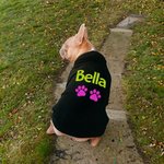 Personalizzato Glitter Paw Print morbido caldo cane gatto vestiti con cappuccio con nome regalo di compleanno per l'amante dell'animale domestico proprietario
