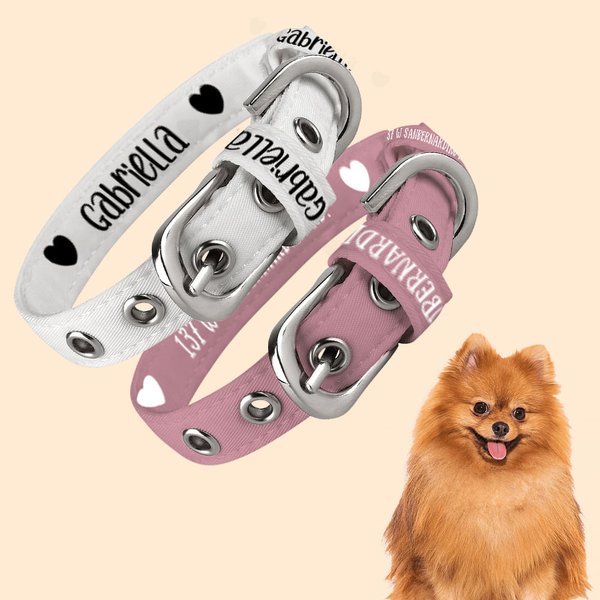 Personalised Multicolour Adjustable Dog Collar with Paw Heart Bone Pattern and Text Gift for Pet Lover