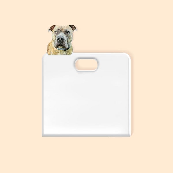 Personalised Pet Photo Acrylic Badge Topper Creative ID Card Decoration Birthday Gift for Teacher Nurse Pet Lover