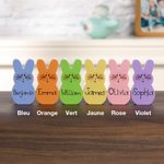 Set de décorations lapin personnalisées avec nom et texte imprimés sur 1-15 lapins - Cadeau de Pâques pour la famille et les enfants