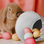 Panier de Rangement Personnalisé avec Prénom Nom Initiale Panier Impréméable à Motif Pierre Lapin Cadeau pour Famille Enfant