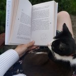 Sello de Libro Personalizado Luna de Gato Tema Creativo y Bolsa Negra con Texto Regalo de Cumpleaños para los Amantes de los Gatos Entusiastas de los Libros