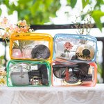 Personalized Birth Flower Clear Makeup Bag with Zipper and Name Water Proof Travel Cosmetic Accessory Birthday Bridesmaid Party Gift for Her