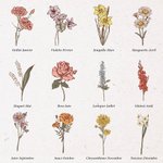 Boîte à Bijoux en Cuir PU Personnalisée avec Nom Fleur de Naissance Coffret Étanche avec Compartiments Cadeau Anniversaire Mariage Voyage pour Femme