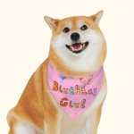 Personalised Multicolour Birthday Girl Boy Pet Bandana Love For My with Dog Name Birthday Party Gift for Pet Lover