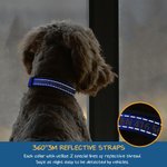 Collier de Chien Réglable Personnalisé avec Texte Brodé Multicolore Cadeau d'Anniversaire pour Amoureux d'Animal de Compagnie