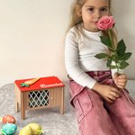 Cage de Lapin Personnalisée avec Nom Caisse en Bois à Motif de Carotte Cadeau Anniversaire Pâques pour Enfant