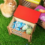 Cage de Lapin Personnalisée avec Nom Caisse en Bois à Motif de Carotte Cadeau Anniversaire Pâques pour Enfant