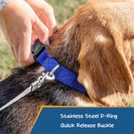 Collier de Chien Réglable Personnalisé avec Texte Brodé Multicolore Cadeau d'Anniversaire pour Amoureux d'Animal de Compagnie