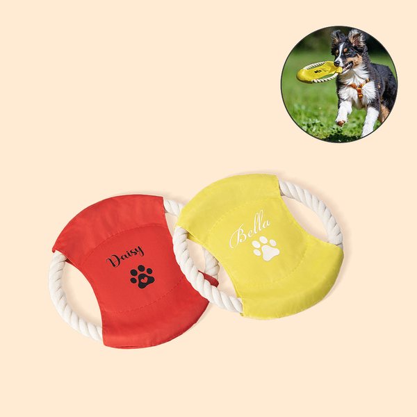 Jouet d'Extérieur Personnalisé avec Nom pour Chien Cadeau d'Anniversaire pour l'Amoureux des Animaux de Compagnie