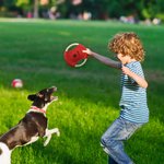 Personalisierte niedlichen Hund Pfote drucken Muster wasserdicht Hund fliegende Scheibe im Freien Hundespielzeug mit Namen Geburtstag Geschenk für Tierliebhaber