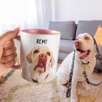 Gepersonaliseerde 1-3 Foto's Huisdier Portret 11oz Keramische Mok met Naam Verjaardagscadeau voor Huisdierliefhebber