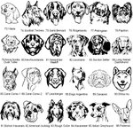 Bracelet Réglable Personnalisé avec Nom Race de Chien et Patte d'Animal Cadeau d'Anniversaire Commémoration pour Amoureux ou Propriétaires des Animaux