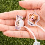Ritratto di animale domestico personalizzato Copri cannuccia riutilizzabile per alimenti con 1-3 nomi per Stanley Tumbler Accessorio di compleanno per