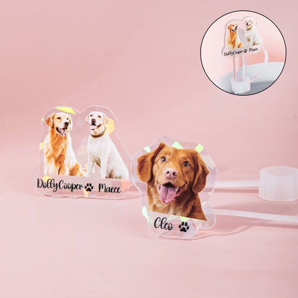 Ritratto di animale domestico personalizzato Copri cannuccia riutilizzabile per alimenti con 1-3 nomi per Stanley Tumbler Accessorio di compleanno per