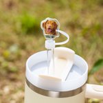 Ritratto di animale domestico personalizzato Copri cannuccia riutilizzabile per alimenti con 1-3 nomi per Stanley Tumbler Accessorio di compleanno per