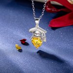 Gepersonaliseerde Graduation Cap Hart Geboortesteen ketting met gegraveerde naam Afstuderen Gift voor afgestudeerden
