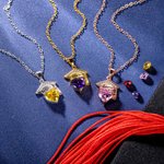 Gepersonaliseerde Graduation Cap Hart Geboortesteen ketting met gegraveerde naam Afstuderen Gift voor afgestudeerden