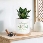 Vaso per piante grasse in ceramica con foro di drenaggio e base in bambù Regalo di compleanno per la festa della mamma, della nonna e della nonna.