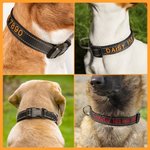 Collier de Chien Réglable Personnalisé avec Texte Brodé Multicolore Cadeau d'Anniversaire pour Amoureux d'Animal de Compagnie