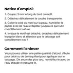 Tatouages Temporaires Résistants à l'Eau Lot de 15 Personnalisés pour Fête Bachelorette Anniversaire
