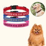 Collier de Chien Réglable Personnalisé avec Texte Brodé Multicolore Cadeau d'Anniversaire pour Amoureux d'Animal de Compagnie