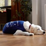 Personalized Best Friend Fist Bump Large Pet Shirts with Names Birthday Anniversary Gift for Dog Cat Lovers