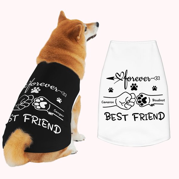 Personalized Best Friend Fist Bump Large Pet Shirts with Names Birthday Anniversary Gift for Dog Cat Lovers