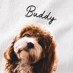 Personalized Oil Painting Style Pet Portrait Photo 100% Cotton Waffle Tea Towel Birthday Anniversary Gift for Pet lover