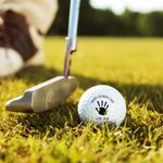 Balle de golf personnalisée avec texte et nom pour la fête des pères Cadeau de fête des pères pour les amateurs de golf