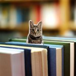 Marcapáginas acrílico personalizado con foto de mascota y nombre Regalo de cumpleaños para gato Perro Dueño Amantes de los libros