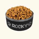 Personalised Food-grade Stainless Steel 32oz Engraved Dog Bowl Water Dish with Name Non-slip Pet Feeding Supplies Gift for Pet Lovers
