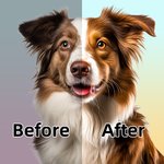 Personalised Pet Portrait Oil Painting Round Luggage Tag with Name and Built-in Card Birthday Travel Gift for Pet Lover