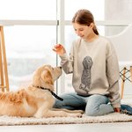 Dibujo Personalizado Retrato de Mascota Foto Camiseta Sudadera Sudadera con Capucha con Nombre Regalo de Cumpleaños para los Amantes de las Mascotas D