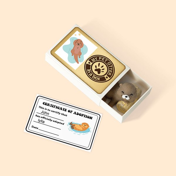 Personalized My Pet Otter In A Box Mini Otter Matchbox with Name Card Desk Decor Novelty Emotional Support Birthday Gift for Otter Lover