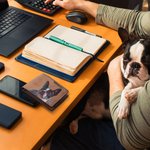 Gepersonaliseerde Portretschilderij stijl heren portemonnee met naam en meerdere kaart sleuven Vaderdag verjaardagscadeau voor kat hond huisdier Lover