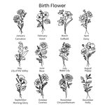 Spersonalizowana wodoodporna torba na butelkę wody Birth Flower Carrier Bag na 40 uncji Stanley z regulowanym paskiem i darmową słomianą nakładką na prezent urodzinowy dla niej