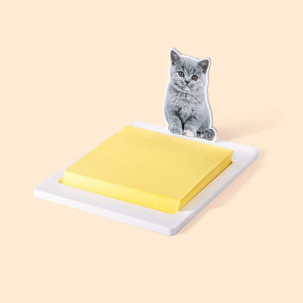 Personalized White Acrylic Sticky Note Holder with 100pcs Sticky Notes and 1-3 Photo Toppers Birthday Gift for Teacher Colleague Classmate