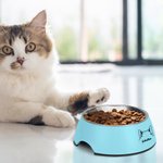 Personalizado doble desmontable Pet Bowl con perro gato Oreja Contorno Nombre Regalo de cumpleaños para el amante del animal doméstico