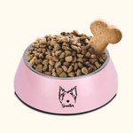 Personalizado doble desmontable Pet Bowl con perro gato Oreja Contorno Nombre Regalo de cumpleaños para el amante del animal doméstico