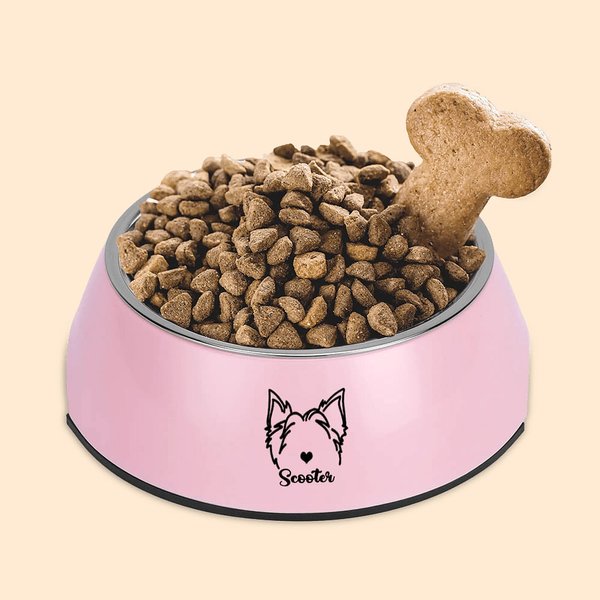Personalized Double Detachable Pet Bowl with Dog Cat Ear Outline Name Birthday Gift for Pet Lover