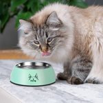Personalizado doble desmontable Pet Bowl con perro gato Oreja Contorno Nombre Regalo de cumpleaños para el amante del animal doméstico