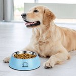 Personalizado doble desmontable Pet Bowl con perro gato Oreja Contorno Nombre Regalo de cumpleaños para el amante del animal doméstico