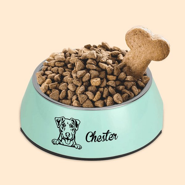 Personalized 2 in 1 Non-slip Outline Portrait Dog Food Water Bowl with Name Food-grade Stainless Steel Feeding Supplies Gift for Pet Lovers