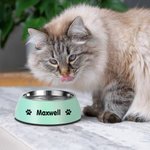 Personalisierte 2 in 1 Anti-Rutsch-Tierfutter Wasserschüssel mit Namen Lebensmittel-Edelstahl Fütterung liefert Geschenk für Hund Katze Liebhaber