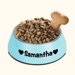 Personalisierte 2 in 1 Anti-Rutsch-Tierfutter Wasserschüssel mit Namen Lebensmittel-Edelstahl Fütterung liefert Geschenk für Hund Katze Liebhaber