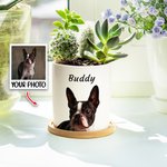Personlig oljemålning stil husdjursporträtt foto keramisk växtkruka med bambubas och namn födelsedag årsdag present till husdjursälskare